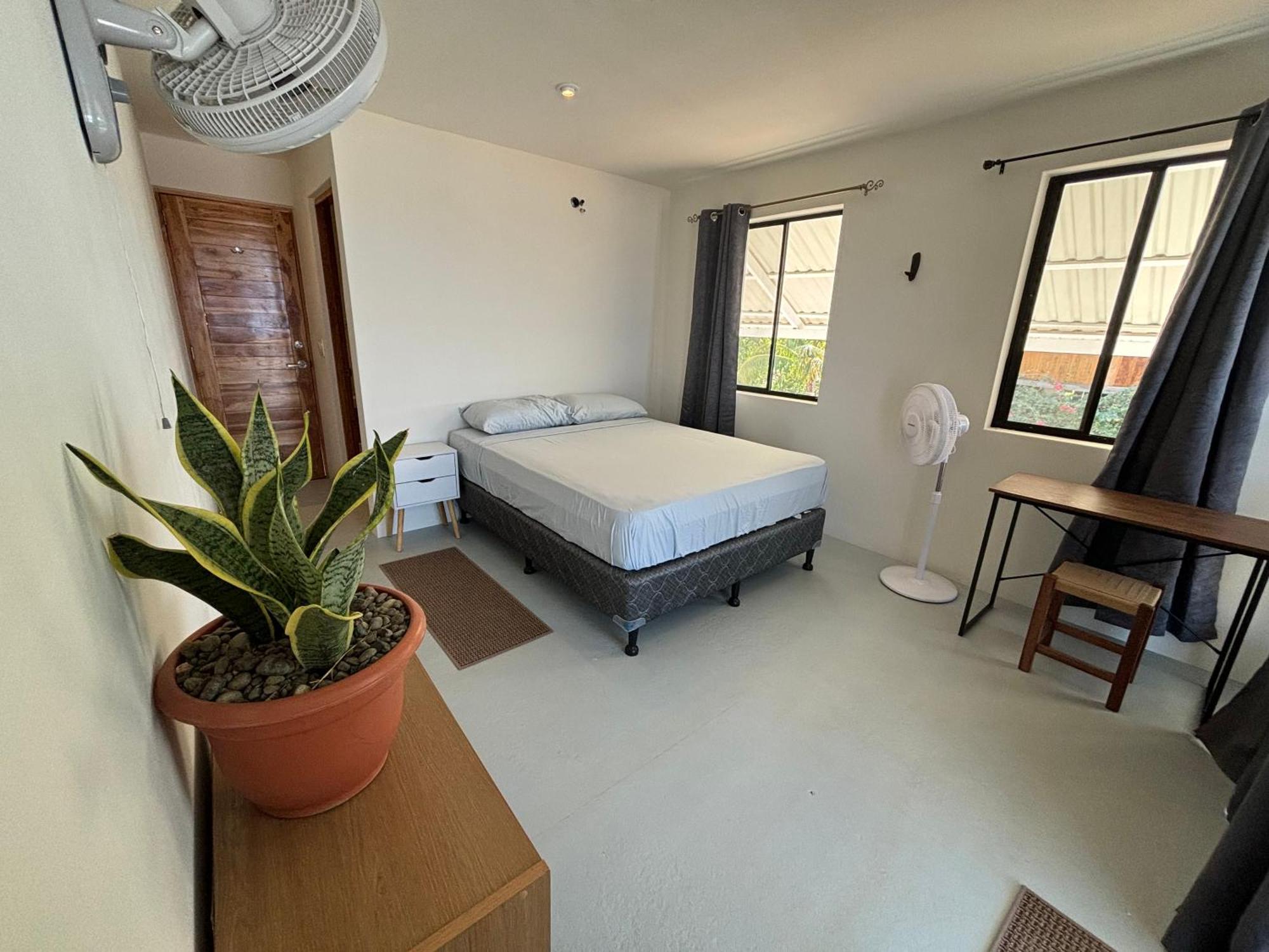 Stella Mar Oceanfront Hotel بوبويو المظهر الخارجي الصورة