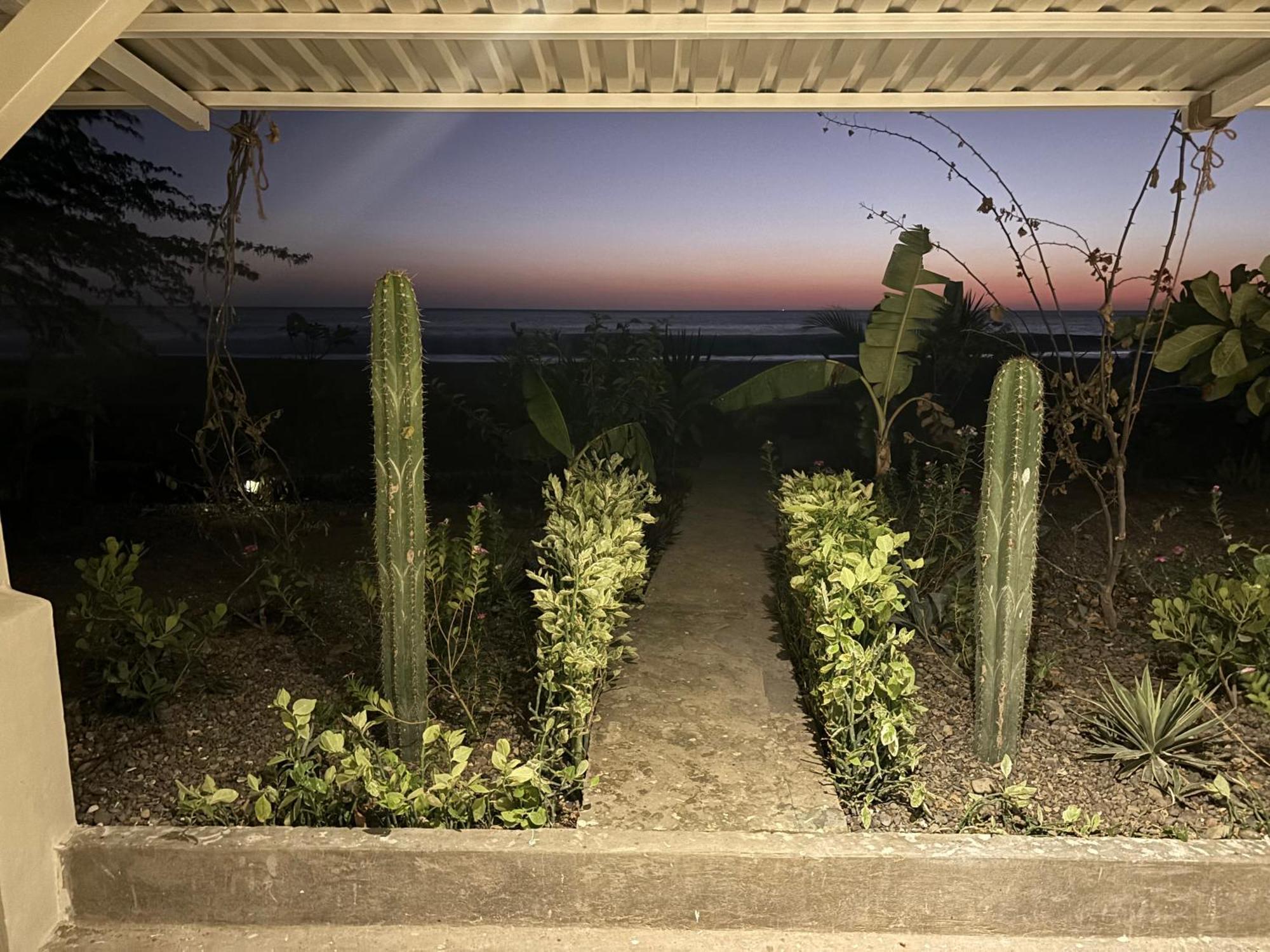 Stella Mar Oceanfront Hotel بوبويو المظهر الخارجي الصورة